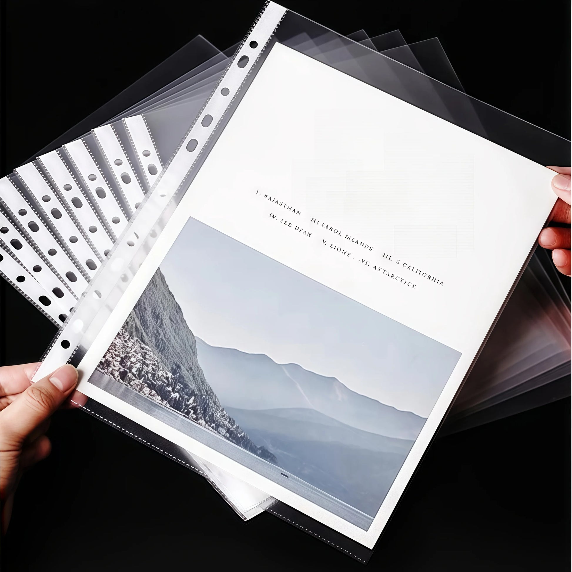 A4 Plastic File Folders 
